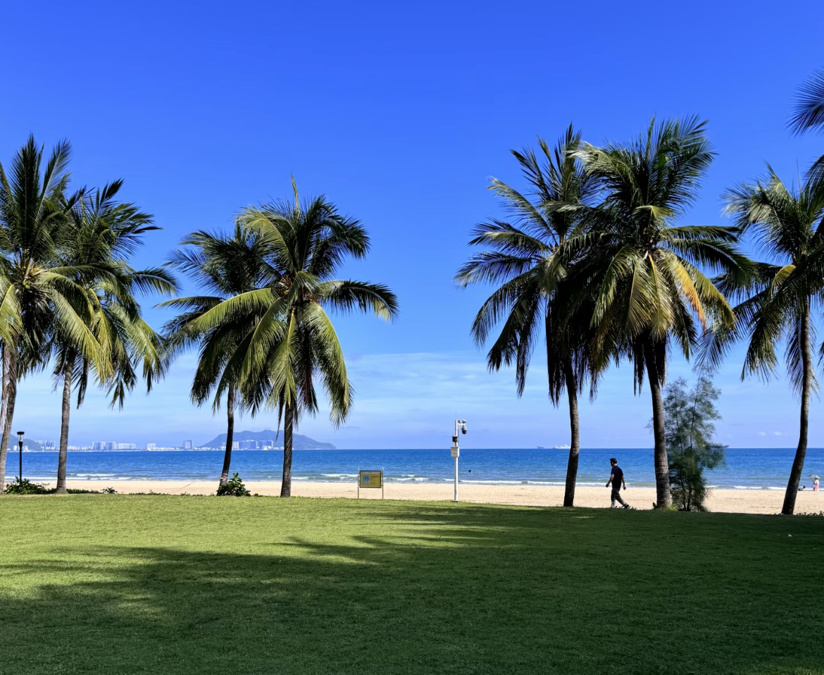 Coconut Dream Promenade